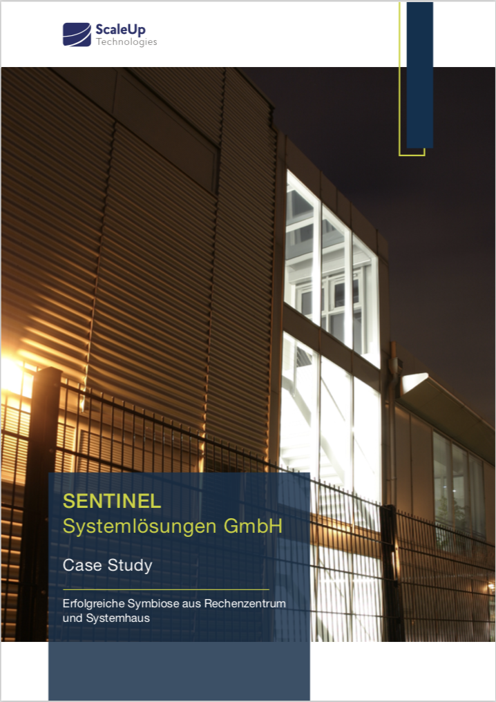 Sentinel IT Case Study